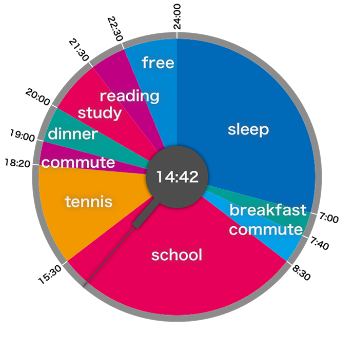 daily schedules in a pie graph